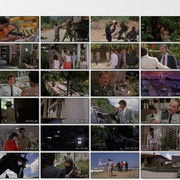 点击查看图片 美国忍者 American Ninja