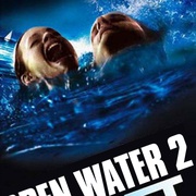 点击查看图片 颤栗汪洋2 Open Water 2: Adrift