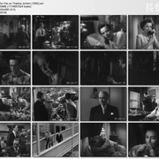 点击查看图片 凤阁情鸳 The File on Thelma Jordon