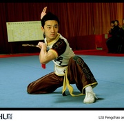 点击查看图片 武术之少年行